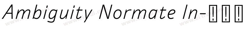 Ambiguity Normate In字体转换